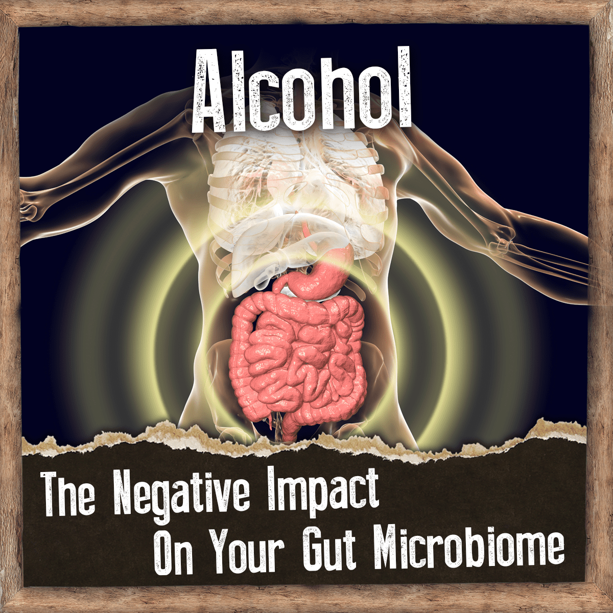 alcohol negative effect on the gut microbiome