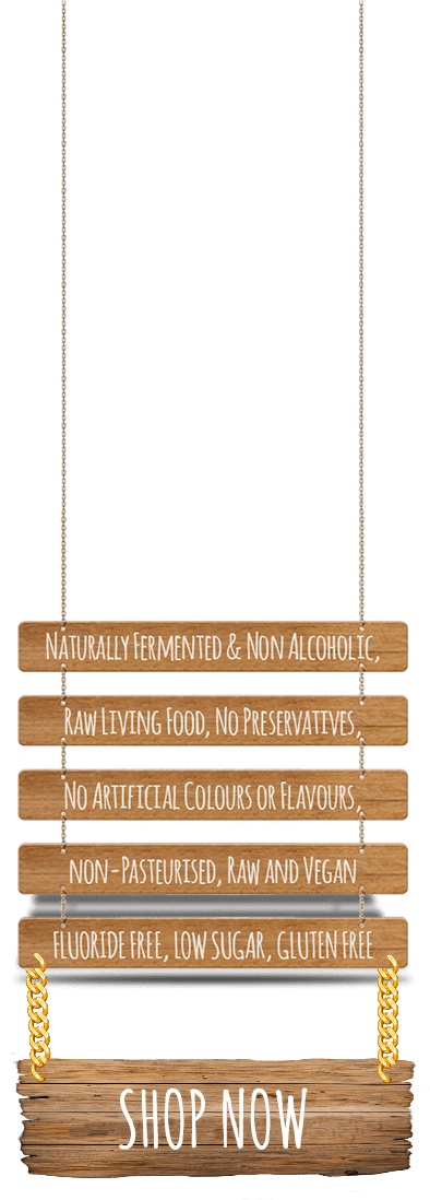 kombucha alcohol alternative