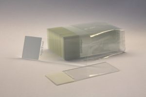 Microscope slides - for viewing spores for microscopy use (x10) Microscope slides - for viewing spores for microscopy use (x10)
