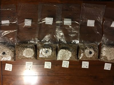 Unicorn Bag Mushroom Substrate Grow Bag Injection port Type 10B-Inj 1-5lbs substrate Unicorn Bag Mushroom Substrate Grow Bag Injection port Type 10B-Inj 1-5lbs substrate